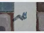 Detail nabídky - Držák předního blkače