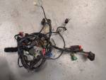 Klikněte pro detailní foto č. 1 - Elektrosvazek  ABS Honda CBF 600