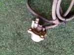Detail nabídky - Spojková pumpa GL 1800