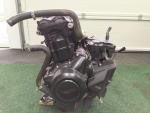 Klikněte pro detailní foto č. 5 - Motor TIGER 800