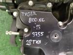 Klikněte pro detailní foto č. 4 - Motor TIGER 800