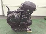 Klikněte pro detailní foto č. 1 - Motor TIGER 800