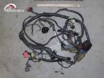Klikněte pro detailní foto č. 2 - Hlavní elektrický rozvod XL 650V Transalp