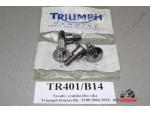 Klikněte pro detailní foto č. 1 - Šrouby ventilového víka Triumph Bonneville T100