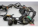 Klikněte pro detailní foto č. 2 - Kabelový svazek Suzuki DL 1000 Strom