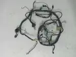 Detail nabídky - Kabeláž kabelový svazek Pegaso 650