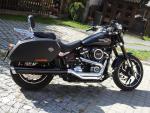 Klikněte pro detailní foto č. 7 - Harley Davidson Nerezové Laděné Výfuky Thundering Eagle Nové