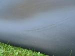 Klikněte pro detailní foto č. 8 - Sedlo BMW