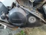 Klikněte pro detailní foto č. 1 - Zdravý motor