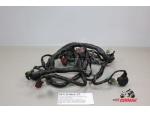 Klikněte pro detailní foto č. 1 - 32100-MN9-790 kabeláž svazek hlavní  Honda NX 650 Dominator 88-9