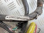 Klikněte pro detailní foto č. 2 - Elektroinstalace Kymco Like 200 i.e