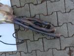 Klikněte pro detailní foto č. 3 - Kompletní výfuk