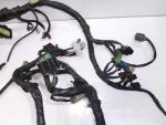 Klikněte pro detailní foto č. 4 - Elektroinstalace, kabely - hlavní svazek + pojistková skříň