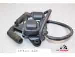 Klikněte pro detailní foto č. 2 - AP0266070 Indukční cívky obou válců  Aprilia Tuono 1000 R 06-10