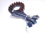 Klikněte pro detailní foto č. 7 - Stator - alternátor (originál díl Yamaha)