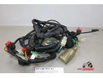 Klikněte pro detailní foto č. 2 - 32100MV9600 kabeláž  Honda CBR 600 F 91-94