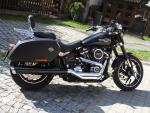 Klikněte pro detailní foto č. 6 - Harley Davidson Nové Nerezové Laděné Výfuky Thundering Eagle