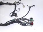 Klikněte pro detailní foto č. 3 - Elektroinstalace, kabely, elektrika - hlavní svazek + světlo