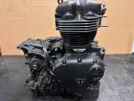 Klikněte pro detailní foto č. 3 - Motor Bonneville