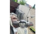 Klikněte pro detailní foto č. 2 - Plexi Piaggio Beverly