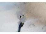 Klikněte pro detailní foto č. 4 - Stator zapalovaní