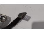 Klikněte pro detailní foto č. 9 - Platle stupaček