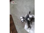 Klikněte pro detailní foto č. 10 - Řadící páka Yamaha XJR 1200