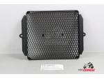 Klikněte pro detailní foto č. 1 - T2101162 Mřížka před chladič Triumph Scrambler 1200