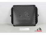 Klikněte pro detailní foto č. 2 - T2101162 Mřížka před chladič Triumph Scrambler 1200