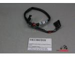 Klikněte pro detailní foto č. 2 - T2506800 kabeláž blinkrů Triumph Thruxton 1200 R