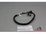Klikněte pro detailní foto č. 5 - T2506800 kabeláž blinkrů Triumph Thruxton 1200 R
