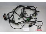 Klikněte pro detailní foto č. 2 - 36610-19F60 hlavní kabeláž svazek  Suzuki SV 650 S  99-02