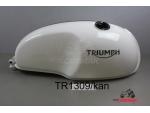 Klikněte pro detailní foto č. 1 - T2405370 Nádrž paliva Tank Triumph Thruxton RS