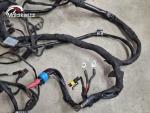 Klikněte pro detailní foto č. 5 - Hlavní elektrický rozvod BMW F 800 R