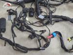 Klikněte pro detailní foto č. 6 - Hlavní elektrický rozvod BMW F 800 R