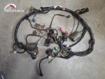 Klikněte pro detailní foto č. 1 - Hlavní elektrický rozvod Honda CBF 600S