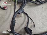 Klikněte pro detailní foto č. 3 - Hlavní elektrický rozvod Honda CBF 600S