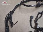 Klikněte pro detailní foto č. 3 - Hlavní elektrický rozvod Honda CBF 600N