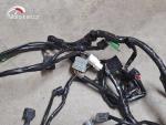 Klikněte pro detailní foto č. 4 - Hlavní elektrický rozvod Honda CBF 600N