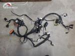 Klikněte pro detailní foto č. 1 - Hlavní elektrický rozvod Yamaha XJ6