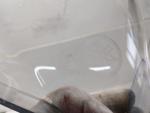 Klikněte pro detailní foto č. 3 - Plexi origo