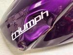 Klikněte pro detailní foto č. 4 - Nádrž Street Triple