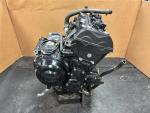 Klikněte pro detailní foto č. 3 - Motor Street Triple 675    6508258