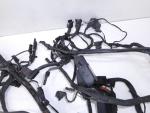 Klikněte pro detailní foto č. 3 - Elektroinstalace, kabely, elektrika - hlavní svazek