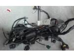 Detail nabídky - Hlavní elektrický rozvod Aprilia Pegaso 650 Strada