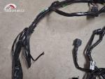 Klikněte pro detailní foto č. 3 - Hlavní elektrický rozvod Honda CBF 600N