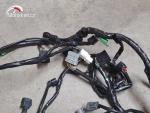 Klikněte pro detailní foto č. 4 - Hlavní elektrický rozvod Honda CBF 600N