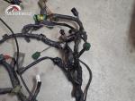 Klikněte pro detailní foto č. 5 - Hlavní elektrický rozvod Suzuki DL 650 V-Strom