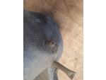 Klikněte pro detailní foto č. 3 - Airbox kompletní