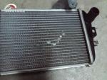 Klikněte pro detailní foto č. 4 - Chladič BMW R 1250 GS